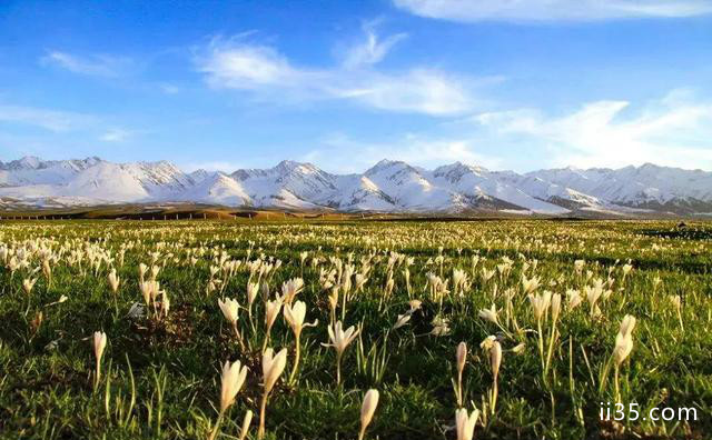 和ta去看“全景”北疆吧-第11张图片