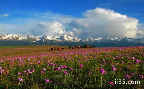 和ta去看“全景”北疆吧-第12张图片