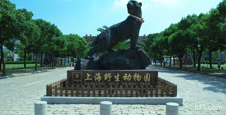 上海野生动物园，体验动物世界的奇妙-第2张图片